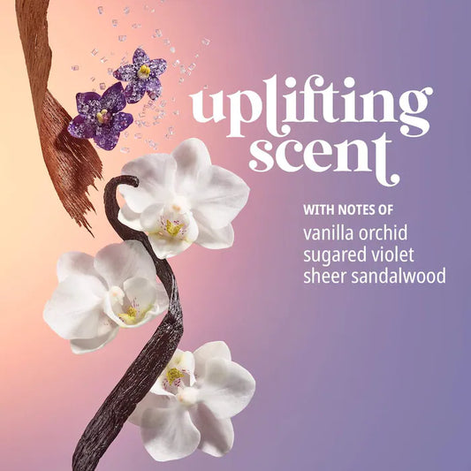 Sol de Janeiro 59 Set